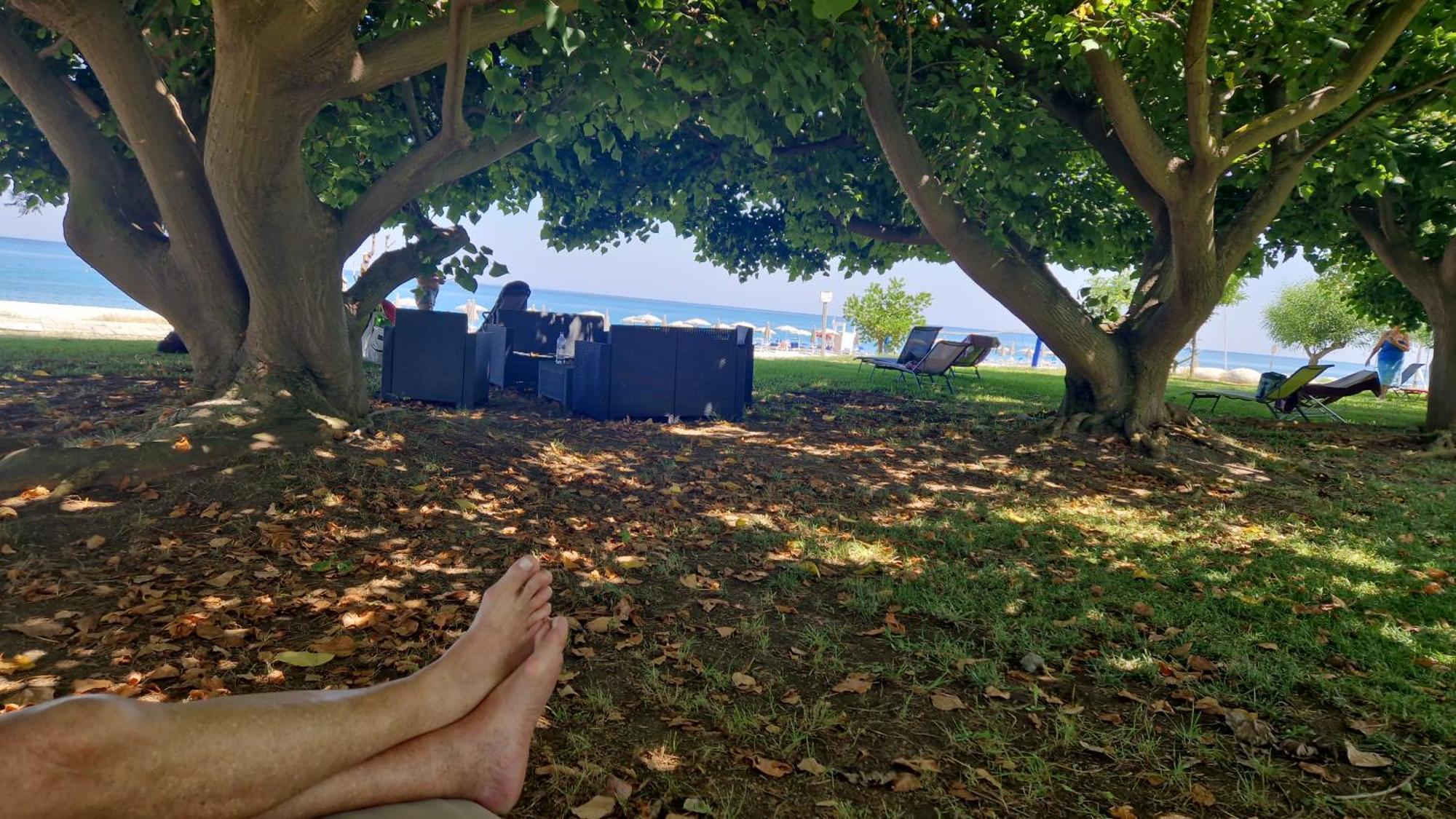 Santa Caterina Dello Ionio MarinaNina'S House 3 , A 300 Metri Dal Mareアパートメント エクステリア 写真